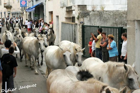 Roussata&iuml;o