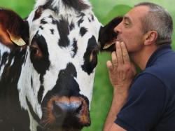L'homme qui murmurait à l'oreille des vaches