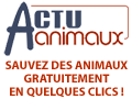actuanimaux.gif