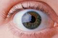 Iridologie : naturopathe-toulon