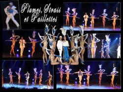 plumes, strass et paillettes