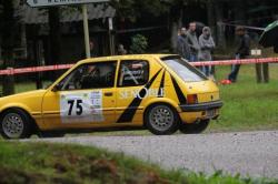 LEMBERGER / GRIETTE / 205 GTI