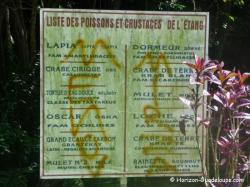 Poissons et crustacés, source de Poucet, Gosier