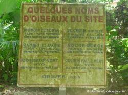 Oiseaux, source Poucet, Gosier