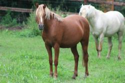 electra à 2 ans