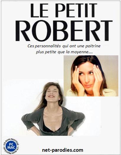 parodie fausse pub le robert dictionnaire