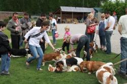 Nord 2011