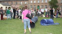 Nord 2011