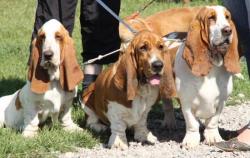 Nord 2011