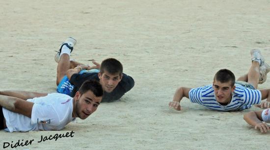 Les 3 "baù" nagent !!!
