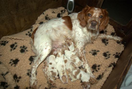 Bianca et les petits...