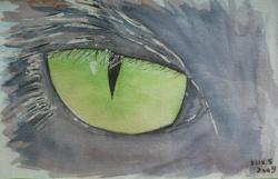 L&rsquo;oeil du chat