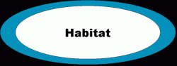 Habitat